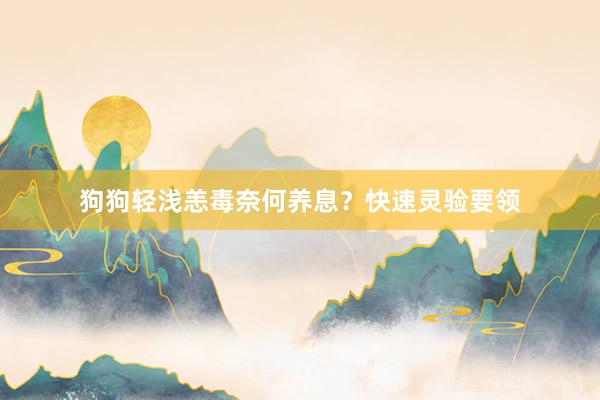 狗狗轻浅恙毒奈何养息？快速灵验要领